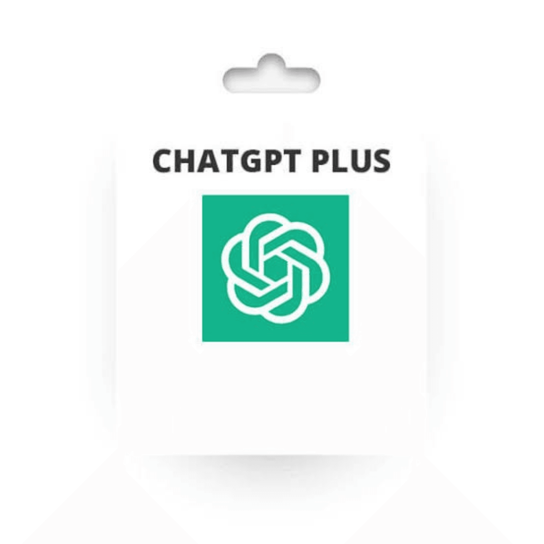 ChatGPT Plus